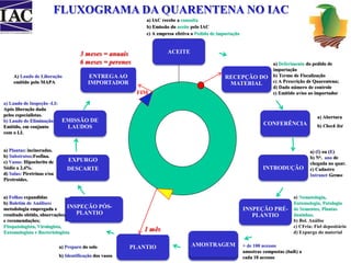 ACEITE 
RECEPÇÃO DO 
MATERIAL 
CONFERÊNCIA 
INTRODUÇÃO 
AMOSTRAGEM 
INSPEÇÃO PRÉ- 
PLANTIO 
3 meses = anuais 
6 meses = perenes 
ENTREGA AO 
IMPORTADOR 
EMISSÃO DE 
LAUDOS 
EXPURGO 
DESCARTE 
PLANTIO 
a) Laudo de Inspeção -LI: 
Após liberação dada 
pelos especialistas. 
b) Laudo de Eliminação: 
Emitido, em conjunto 
com o LI. 
a) Folhas expandidas 
b) Boletim de Análises: 
metodologia empregada e 
resultado obtido, observações, 
e recomendações; 
Fitopatologista, Virologista, 
Entomologista e Bacteriologista 
INSPEÇÃO PÓS-PLANTIO 
1 mês 
a) Deferimento do pedido de 
importação 
b) Termo de Fiscalização 
c) A Prescrição de Quarentena; 
d) Dado número de controle 
e) Emitido aviso ao importador 
a) Abertura 
b) Check list 
a) (I) ou (E) 
b) No. ano de 
chegada no quar. 
c) Cadastro 
Intranet Germo 
+ de 100 acessos 
amostras compostas (bulk) a 
cada 10 acessos 
AMOSTRAGEM 
a) Nematologia, 
Entomologia, Patologia 
de Sementes, Plantas 
daninhas. 
b) Bol. Análise 
c) CFria: Fiel depositário 
d) Expurgo do material 
a) Preparo do solo 
b) Identificação dos vasos 
a) Plantas: incineradas. 
b) Substratos:Fosfina. 
c) Vasos: Hipoclorito de 
Sódio a 2,4%. 
d) Salas: Piretrinas e/ou 
Piretroides. 
a) IAC recebe a consulta 
b) Emissão do aceite pelo IAC 
c) A empresa efetiva o Pedido de importação 
A) Laudo de Liberação 
emitido pelo MAPA 
FIM 
 