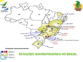 Embrapa Quarentena 
Viçosa 
SGS 
Bayer 
Seminis 
ESTAÇÕES QUARENTENÁRIAS NO BRASIL 
Futuro 
 
