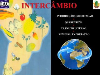 INTRODUÇÃO/ IMPORTAÇÃO 
+ 
QUARENTENA 
+ 
TRÂNSITO INTERNO 
+ 
REMESSA/ EXPORTAÇÃO 
 