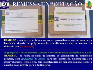 REMESSA - ato de envio de um acesso de germoplasma vegetal para outra 
localidade situada no próprio estado, em distinto estado, ou mesmo em 
diferente país (Exportação). 
“Legislação de Acesso a Recursos Genéticos e aos Conhecimentos Tradicionais no Brasil” 
REMESSA - se refere ao envio de amostra do componente do patrimônio 
genético, com finalidades de acesso para fins científicos, bioprospecção ou 
desenvolvimento tecnológico, com transferência de responsabilidades sobre a 
amostra do remetente para o destinatário. 
 