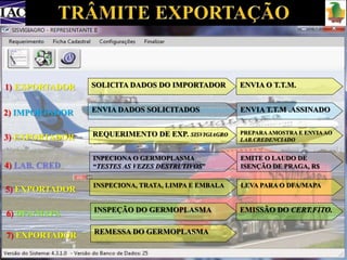 SOLICITA DADOS DO IMPORTADOR 
2) IMPORTADOR ENVIA DADOS SOLICITADOS ENVIA T.T.M .ASSINADO 
REQUERIMENTO DE EXP. SISVIGIAGRO 
ENVIA O T.T.M. 
REMESSA DO GERMOPLASMA 
1) EXPORTADOR 
6) DFA/MAPA 
7) EXPORTADOR 
PREPARA AMOSTRA E ENVIA AO 
LAB.CREDENCIADO 
INSPEÇÃO DO GERMOPLASMA EMISSÃO DO CERT.FITO. 
3) EXPORTADOR 
INPECIONA O GERMOPLASMA 
4) LAB. CRED. “TESTES AS VEZES DESTRUTIVOS” 
EMITE O LAUDO DE 
ISENÇÃO DE PRAGA, R$ 
5) EXPORTADOR 
INSPECIONA, TRATA, LIMPA E EMBALA LEVA PARA O DFA/MAPA 
 