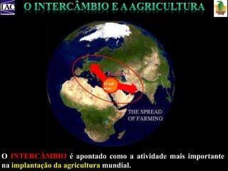 12 mil 
anos 
O INTERCÂMBIO é apontado como a atividade mais importante 
na implantação da agricultura mundial. 
 