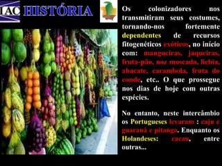 Os colonizadores nos 
transmitiram seus costumes, 
tornando-nos fortemente 
dependentes de recursos 
fitogenéticos exóticos, no início 
com: mangueiras, jaqueiras, 
fruta-pão, noz moscada, lichia, 
abacate, carambola, fruta do 
conde, etc.. O que prossegue 
nos dias de hoje com outras 
espécies. 
No entanto, neste intercâmbio 
os Portugueses levaram : caju e 
guaraná e pitanga. Enquanto os 
Holandeses: cacau, entre 
outras... 
 