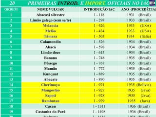 20 PRIMEIRAS INTROD. E IMPORT. OFICIAIS NO IAC 
ORDEM NOME VULGAR INTRODUÇÃO IAC ANO (PROCEDÊCIA) 
1 Abacaxi silvestre I - 118 1931 (Brasil) 
2 Limão galego (sem se/te) I - 298 1933 (Brasil) 
3 Melancia I - 426 1933 (USA) 
4 Melão I - 434 1933 (USA) 
5 Tâmara I - 503 1934 (Itália) 
6 Calamondin I - 526 1934 (Brasil) 
7 Abacá I - 598 1934 (Brasil) 
8 Limão doce I - 613 1934 (Brasil) 
9 Banana I - 748 1935 (Brasil) 
10 Pêssego I - 767 1935 (Brasil) 
11 Mamão I - 772 1935 (Brasil) 
12 Kunquat I - 889 1935 (Brasil) 
13 Abacate I - 890 1935 (Brasil) 
14 Cherimoya I - 921 1935 (Bolívia) 
15 Mangostão I - 927 1935 (Java) 
16 Sapoti I - 928 1935 (Java) 
17 Rambutan I - 929 1935 (Java) 
18 Cacau I - 1311 1936 (Brasil) 
19 Castanha do Pará I - 1498 1936 (Brasil) 
20 Jenipapo I - 1616 1936 (Brasil) 
 