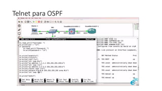 Telnet para OSPF
 