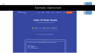 +
Exemplo: Opencnam
 