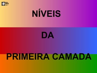 NÍVEIS  DA PRIMEIRA CAMADA 