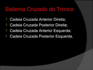 Sistema Cruzado do Tronco
 Cadeia Cruzada Anterior Direita;
 Cadeia Cruzada Posterior Direita;
 Cadeia Cruzada Anterior Esquerda;
 Cadeia Cruzada Posterior Esquerda.
 