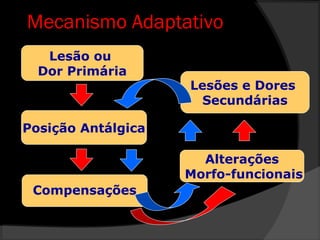 Mecanismo Adaptativo
Lesão ou
Dor Primária
Posição Antálgica
Compensações
Alterações
Morfo-funcionais
Lesões e Dores
Secundárias
 