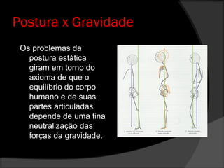 Postura x Gravidade
Os problemas da
postura estática
giram em torno do
axioma de que o
equilíbrio do corpo
humano e de suas
partes articuladas
depende de uma fina
neutralização das
forças da gravidade.
 