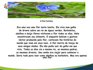 A Flor Curiosa
Era uma vez uma flor muito bonita. Ela vivia num galho
de árvore sobre um rio de águas verdes. Borboletas,
abelhas e beija-flores visitavam a flor todos os dias. Nela
encontravam seu alimento. E enquanto bebiam o gostoso
néctar produzido pela flor, contavam-lhe histórias do
mundo que viam em seus voos. A flor morria de inveja de
seus amigos alados. Ela não podia sair do galho em que
vivia. Todos os dias via o mesmo rio, as mesmas pedras,
as mesmas árvores. Seu sonho era viajar para conhecer o
mundo. Daria tudo para voar como abelhas ou borboleta. Mas era apenas
uma flor.
 