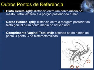 Outros Pontos de Referência  Hiato Genital (gh):  distância entre um ponto medio no meato uretral externo e a porção posterior do hímen  Corpo Perineal (pb):  distância entre a margem posterior do hiato genital e um ponto medio no orifício anal Comprimento Vaginal Total (tvl):  estende-se do hímen ao ponto D ponto C na histerectomizada 