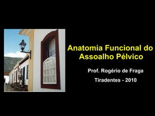 Anatomia Funcional do  Assoalho Pélvico Prof. Rogério de Fraga Tiradentes - 2010 