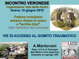 A.Mantovani
Resp. U.O.S. di Patologia
della Mano e Arto Superiore
Ospedale di Legnago (VR)
 