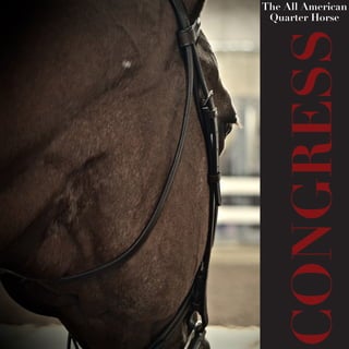 CONGRESS
The All American
Quarter Horse
 