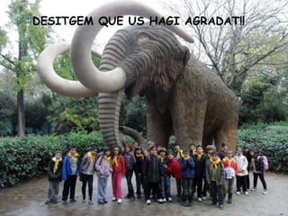 DESITGEM QUE US HAGI AGRADAT!!
 