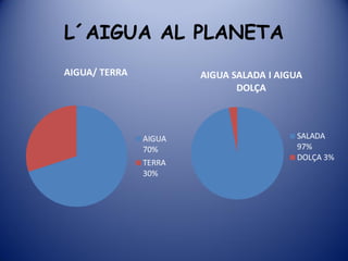 L´AIGUA AL PLANETA
 