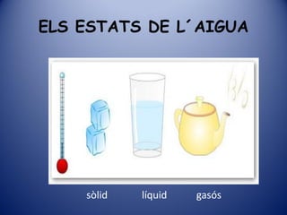 ELS ESTATS DE L´AIGUA




    sòlid   líquid   gasós
 