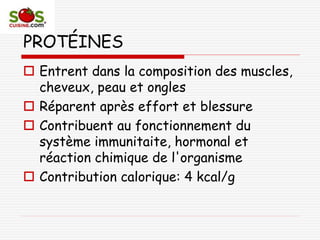 PROTÉINES
 Entrent dans la composition des muscles,
cheveux, peau et ongles
 Réparent après effort et blessure
 Contribuent au fonctionnement du
système immunitaite, hormonal et
réaction chimique de l'organisme
 Contribution calorique: 4 kcal/g
 