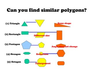 Can you find similar polygons?
(1) Triangle
(2) Rectangle
(3) Pentagon
(4) Hexagon
(5) Octagon
Same shape
Different size
Angle does not change
Enlargement
Reduction
 