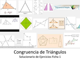Congruencia de Triángulos
Solucionario de Ejercicios Ficha 1
 