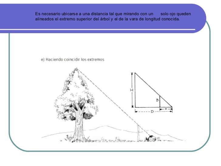 Congruencias de figuras