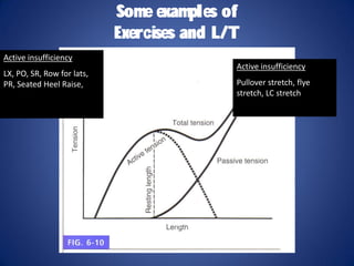 Congruent Exercise by Bill DeSimone | PDF