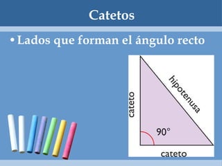 Catetos Lados que forman el ángulo recto 