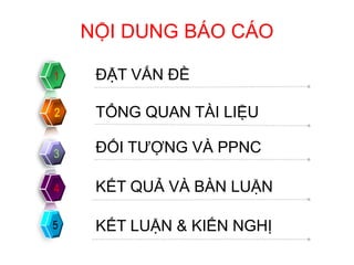 ĐẶT VẤN ĐỀ
TỔNG QUAN TÀI LIỆU
KẾT QUẢ VÀ BÀN LUẬN
KẾT LUẬN & KIẾN NGHỊ
ĐỐI TƯỢNG VÀ PPNC
NỘI DUNG BÁO CÁO
 