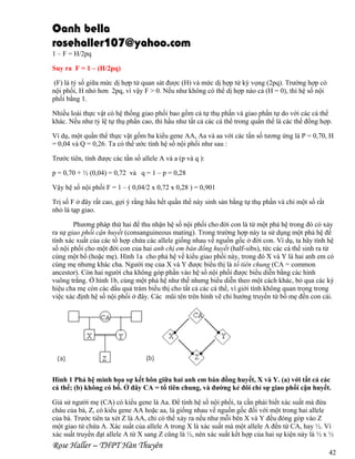 Oanh bella
rosehaller107@yahoo.com
1 – F = H/2pq
Suy ra F = 1 – (H/2pq)
(F) là tỷ số giữa mức dị hợp tử quan sát được (H) và mức dị hợp tử kỳ vọng (2pq). Trường hợp có
nội phối, H nhỏ hơn 2pq, vì vậy F > 0. Nếu như không có thể dị hợp nào cả (H = 0), thì hệ số nội
phối bằng 1.
Nhiều loài thực vật có hệ thống giao phối bao gồm cả tự thụ phấn và giao phấn tự do với các cá thể
khác. Nếu như tỷ lệ tự thụ phấn cao, thì hầu như tất cả các cá thể trong quần thể là các thể đồng hợp.
Ví dụ, một quần thể thực vật gồm ba kiểu gene AA, Aa và aa với các tần số tương ứng là P = 0,70, H
= 0,04 và Q = 0,26. Ta có thể ước tính hệ số nội phối như sau :
Trước tiên, tính được các tần số allele A và a (p và q ):
p = 0,70 + ½ (0,04) = 0,72 và q = 1 – p = 0,28
Vậy hệ số nội phối F = 1 – ( 0,04/2 x 0,72 x 0,28 ) = 0,901
Trị số F ở đây rất cao, gợi ý rằng hầu hết quần thể này sinh sản bằng tự thụ phấn và chỉ một số rất
nhỏ là tạp giao.
Phương pháp thứ hai để thu nhận hệ số nội phối cho đời con là từ một phả hệ trong đó có xảy
ra sự giao phối cận huyết (consanguineous mating). Trong trường hợp này ta sử dụng một phả hệ để
tính xác xuất của các tổ hợp chứa các allele giống nhau về nguồn gốc ở đời con. Ví dụ, ta hãy tính hệ
số nội phối cho một đời con của hai anh chị em bán đồng huyết (half-sibs), tức các cá thể sinh ra từ
cùng một bố (hoặc mẹ). Hình 1a cho phả hệ về kiểu giao phối này, trong đó X và Y là hai anh em có
cùng mẹ nhưng khác cha. Người mẹ của X và Y được biểu thị là tổ tiên chung (CA = common
ancestor). Còn hai người cha không góp phần vào hệ số nội phối được biểu diễn bằng các hình
vuông trắng. Ở hình 1b, cùng một phả hệ như thế nhưng biểu diễn theo một cách khác, bỏ qua các ký
hiệu cha mẹ còn các dấu quả trám biểu thị cho tất cả các cá thể, vì giới tính không quan trọng trong
việc xác định hệ số nội phối ở đây. Các mũi tên trên hình vẽ chỉ hướng truyền từ bố mẹ đến con cái.

Hình 1 Phả hệ minh họa sự kết hôn giữa hai anh em bán đồng huyết, X và Y. (a) với tất cả các
cá thể; (b) không có bố. Ở đây CA = tổ tiên chung, và đường kẻ đôi chỉ sự giao phối cận huyết.
Giả sử người mẹ (CA) có kiểu gene là Aa. Để tính hệ số nội phối, ta cần phải biết xác suất mà đứa
cháu của bà, Z, có kiểu gene AA hoặc aa, là giống nhau về nguồn gốc đối với một trong hai allele
của bà. Trước tiên ta xét Z là AA, chỉ có thể xảy ra nếu như mỗi bên X và Y đều đóng góp vào Z
một giao tử chứa A. Xác suất của allele A trong X là xác suất mà một allele A đến từ CA, hay ½. Vì
xác suất truyền đạt allele A từ X sang Z cũng là ½, nên xác suất kết hợp của hai sự kiện này là ½ x ½

Rose Haller – THPT Hàn Thuyên

42

 