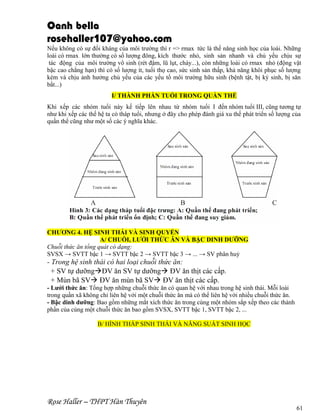 Oanh bella
rosehaller107@yahoo.com
Nếu không có sự đối kháng của môi trường thì r => rmax tức là thế năng sinh học của loài. Những
loài có rmax lớn thường có số lượng đông, kích thước nhỏ, sinh sản nhanh và chủ yếu chịu sự
tác động của môi trường vô sinh (rét đậm, lũ lụt, cháy...), còn những loài có rmax nhỏ (động vật
bậc cao chẳng hạn) thì có số lượng ít, tuổi thọ cao, sức sinh sản thấp, khả năng khôi phục số lượng
kém và chịu ảnh hưởng chủ yếu của các yếu tố môi trường hữu sinh (bệnh tật, bị ký sinh, bị săn
bắt...)
I/ THÀNH PHẦN TUỔI TRONG QUẦN THỂ
Khi xếp các nhóm tuổi này kế tiếp lên nhau từ nhóm tuổi I đến nhóm tuổi III, cũng tương tự
như khi xếp các thế hệ ta có tháp tuổi, nhưng ở đây cho phép đánh giá xu thế phát triển số lượng của
quần thể cũng như một số các ý nghĩa khác.

CHƯƠNG 4. HỆ SINH THÁI VÀ SINH QUYỂN
A/ CHUỖI, LƯỚI THỨC ĂN VÀ BẬC DINH DƯỠNG
Chuỗi thức ăn tổng quát có dạng:
SVSX → SVTT bậc 1 → SVTT bậc 2 → SVTT bậc 3 → ... → SV phân huỷ

- Trong hệ sinh thái có hai loại chuỗi thức ăn:
+ SV tự dưỡngĐV ăn SV tự dưỡng ĐV ăn thịt các cấp.
+ Mùn bã SV ĐV ăn mùn bã SV ĐV ăn thịt các cấp.
- Lưới thức ăn: Tổng hợp những chuỗi thức ăn có quan hệ với nhau trong hệ sinh thái. Mỗi loài
trong quần xã không chỉ liên hệ với một chuỗi thức ăn mà có thể liên hệ với nhiều chuỗi thức ăn.
- Bậc dinh dưỡng: Bao gồm những mắt xích thức ăn trong cùng một nhóm sắp xếp theo các thành
phần của cùng một chuỗi thức ăn bao gồm SVSX, SVTT bậc 1, SVTT bậc 2, ...
B/ HÌNH THÁP SINH THÁI VÀ NĂNG SUẤT SINH HỌC

Rose Haller – THPT Hàn Thuyên

61

 