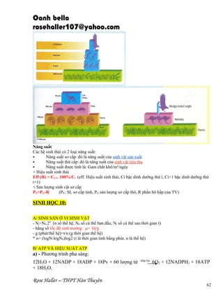 Oanh bella
rosehaller107@yahoo.com

Năng suất
Các hệ sinh thái có 2 loại năng suất:

Năng suất sơ cấp: đó là năng suất của sinh vật sản xuất

Năng suất thứ cấp: đó là năng suất của sinh vật tiêu thụ

Năng suất được tính là: Gam chất khô/m²/ngày
+ Hiệu suất sinh thái
Eff (H) = Ci+1. 100%/Ci (eff: Hiệu suất sinh thái, Ci bậc dinh dưỡng thứ i, Ci+1 bậc dinh dưỡng thứ
i+1)
+ Sản lượng sinh vật sơ cấp
PN=PG-R
(PN: SL sơ cấp tinh, PG sản lượng sơ cấp thô, R phần hô hấp của TV)

SINH HỌC 10:
A/ SINH SẢN Ở VI SINH VẬT
- Nt=N0.2n (n số thế hệ, N0 số cá thể ban đầu, Nt số cá thể sau thời gian t)
- hằng số tốc độ sinh trưởng µ= 1h/g
- g (phút/thế hệ)=t/n (g thời gian thế hệ)
* n= (logN-logN0)log2 (t là thời gian tính bằng phút, n là thế hệ)
B/ ATP VÀ HIỆU SUẤT ATP

a) - Phương trình pha sáng:
12H2O + 12NADP + 18ADP + 18Pv + 60 lượng tử
+ 18H2O.

Rose Haller – THPT Hàn Thuyên

diệp lục

6O2 + 12NADPH2 + 18ATP

62

 