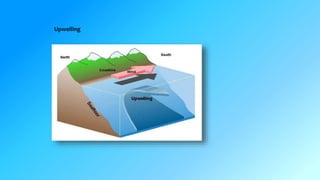 Upwelling 
 