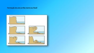 Formação de uma arriba morta ou fóssil 
 
