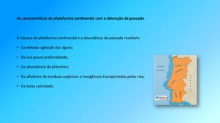 As características da plataforma continental com a obtenção de pescado 
A riqueza da plataforma continental e a abundância do pescado resultam: 
• Da elevada agitação das águas; 
• Da sua pouca profundidade; 
• Da abundância de plânctlon; 
• Da afluência de resíduos orgânicos e inorgânicos transportados pelos rios; 
• Da baixa salinidade. 
 