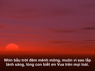 Nhìn bầu trời  đê m mênh mông, muôn vì sao lấp lánh sáng, lòng con biết  ơ n Vua trên mọi loài. 