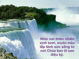 Nhìn n ơ i thiên nhiên xinh t ươ i, muôn màu lấp lánh sức sống từ n ơ i Chúa ban ôi sao diệu kỳ. 