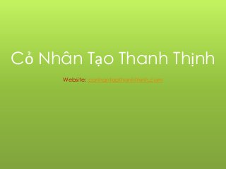 Cỏ Nhân Tạo Thanh Thịnh
Website: conhantaothanhthinh.com
 