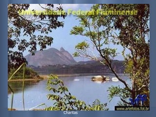 Charitas 