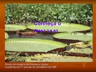 Mostra de imagens de Eustáquio Libório Acadêmico do 7º período de Jornalismo da FBN Conheça o   Amazonas 