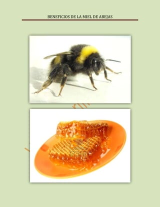 Conheça as propriedades do néctar das abelhas