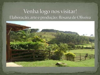 Conheça cunha-Pousada Morada do Sol