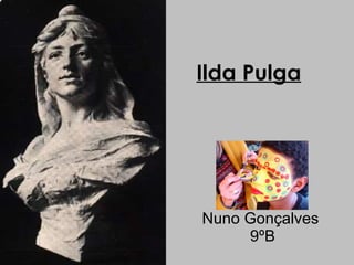 Ilda Pulga Nuno Gonçalves  9ºB 