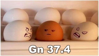Gn 37.4
 