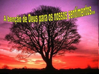 A benção de Deus para os nossos sentimentos... 