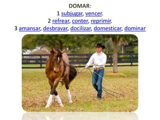 DOMAR:
1 subjugar, vencer.
2 refrear, conter, reprimir.
3 amansar, desbravar, docilizar, domesticar, dominar
 