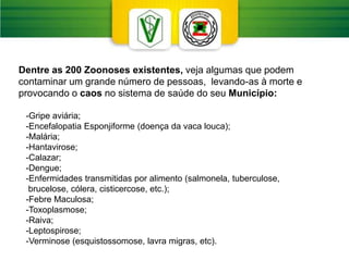 Dentre as 200 Zoonoses existentes, veja algumas que podem
contaminar um grande número de pessoas, levando-as à morte e
provocando o caos no sistema de saúde do seu Município:
-Gripe aviária;
-Encefalopatia Esponjiforme (doença da vaca louca);
-Malária;
-Hantavirose;
-Calazar;
-Dengue;
-Enfermidades transmitidas por alimento (salmonela, tuberculose,
brucelose, cólera, cisticercose, etc.);
-Febre Maculosa;
-Toxoplasmose;
-Raiva;
-Leptospirose;
-Verminose (esquistossomose, lavra migras, etc).
 