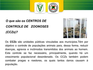 O que são os CENTROS DE
CONTROLE DE ZOONOSES
(CCZs)?
Os CCZs são unidades públicas vinculadas aos municípios.Têm por
objetivo o controle de populações animais para, dessa forma, reduzir
doenças, agravos e incômodos transmitidos dos animais ao homem.
Este controle se faz necessário, principalmente, quando há um
crescimento populacional desordenado. Os CCZs também podem
combater pragas e roedores, os quais tantos danos causam à
população.
 