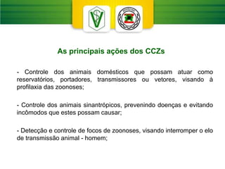 As principais ações dos CCZs
- Controle dos animais domésticos que possam atuar como
reservatórios, portadores, transmissores ou vetores, visando à
profilaxia das zoonoses;
- Controle dos animais sinantrópicos, prevenindo doenças e evitando
incômodos que estes possam causar;
- Detecção e controle de focos de zoonoses, visando interromper o elo
de transmissão animal - homem;
 