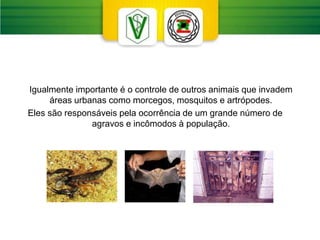 Igualmente importante é o controle de outros animais que invadem
áreas urbanas como morcegos, mosquitos e artrópodes.
Eles são responsáveis pela ocorrência de um grande número de
agravos e incômodos à população.
 